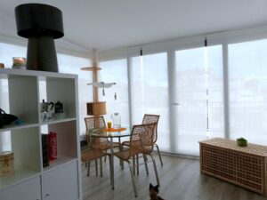 Bright, tidy living space with open shelving, a dining table and large windows