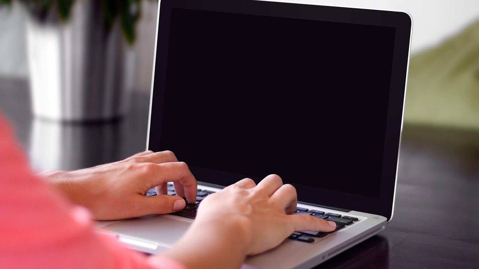 Person typing on a laptop at a desk with a plant in the background