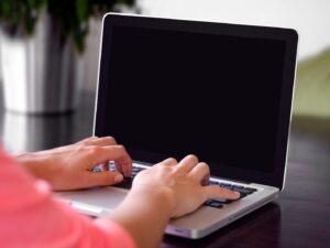 Person typing on a laptop at a desk with a plant in the background