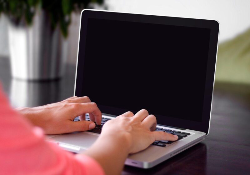 Person typing on a laptop at a desk with a plant in the background